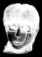 A color inverted variation of Lisa's head.