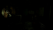 Ditto, flashlight on.