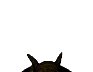 The Captain's jumpscare.