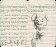 ??? (Page 19).