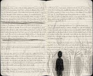 ??? (Page 25).