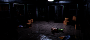 Oswald in the Freezer. He is close to the camera in front of the shelves on the left, and his ears are most visible.