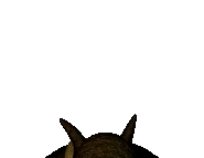 An early version of The Captain's jumpscare.