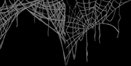 A texture map of a cobweb.