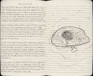 FEB TWENTY-FIRST (Page 9).