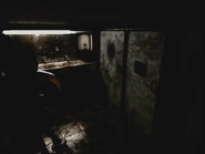 Ditto, but without eyes.