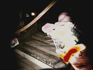 Daisy in CAM 9.
