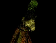 Spirit Goofy's jumpscare.