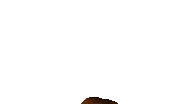 Fredjump.gif (3.23 MB) Freddy's jumpscare.