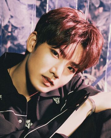 Junkyu Treasure Wiki Fandom Best digital flashcard designing and sharing app: junkyu treasure wiki fandom