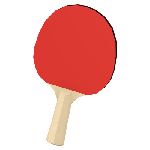 Table Tennis Paddle Treasure Quest Wiki Fandom