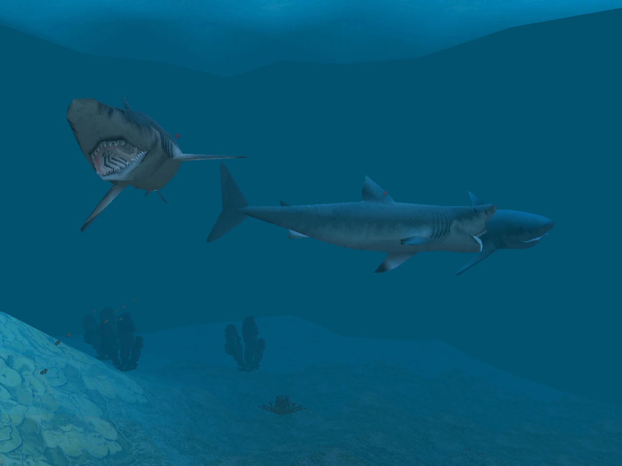 邦楽 GREAT WHITE SHARK ROCK / SWAMP RATZ Amazon.co.jp: Great White Shark Rock : Swamp Ratz: デジタル