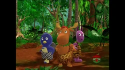 December 22, 2021 | Treehouse Schedule Archives Wiki | Fandom