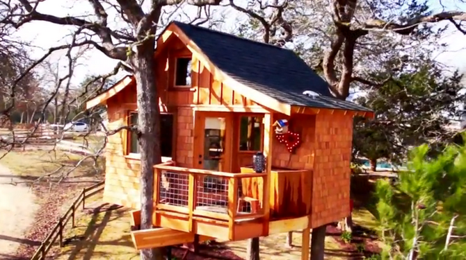Treehouse Masters Wiki Fandom Treehouse Masters Wiki Fandom