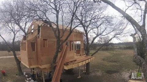 Waco, Texas Treehouse Timelapse Treehouse Masters