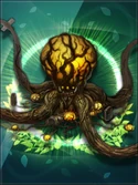 CARD Rutopus