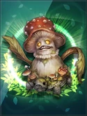 CARD Mushcaria