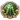ICO Miko
