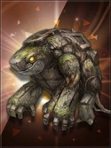CARD Rocktortuga
