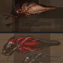 African Graboid Tremors Wiki Fandom