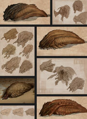African Graboid (35).jpg