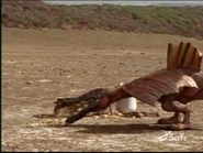 Messershmit (6).jpg (8 KB) Messerschmitt Vomiting the M.R.E.