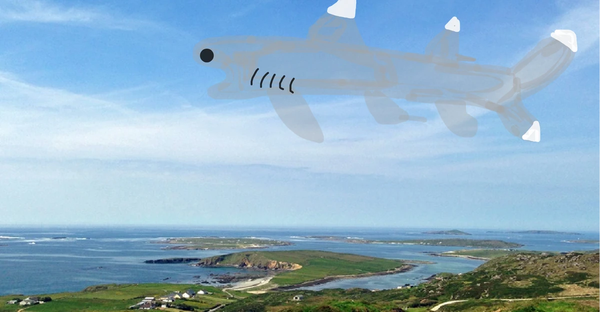 Aircraft Triaenodon | Trevor Henderson Fanmade Wiki | Fandom