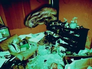 "Hoarder"