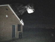 NervousHouseguestBright.jpg (201 KB) The original image of the creature, brightened.