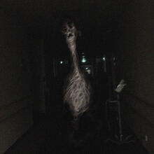 The Night Watchman.jpg