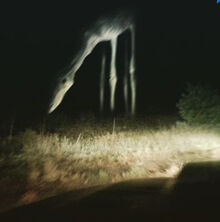 28A0DA12-3CF7-4EAD-BF93-A6A1BE6A04B2.jpeg