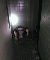 A pair of Lil' Nuggets "occupying" the toilet.
