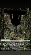 The "Man in the Woods"