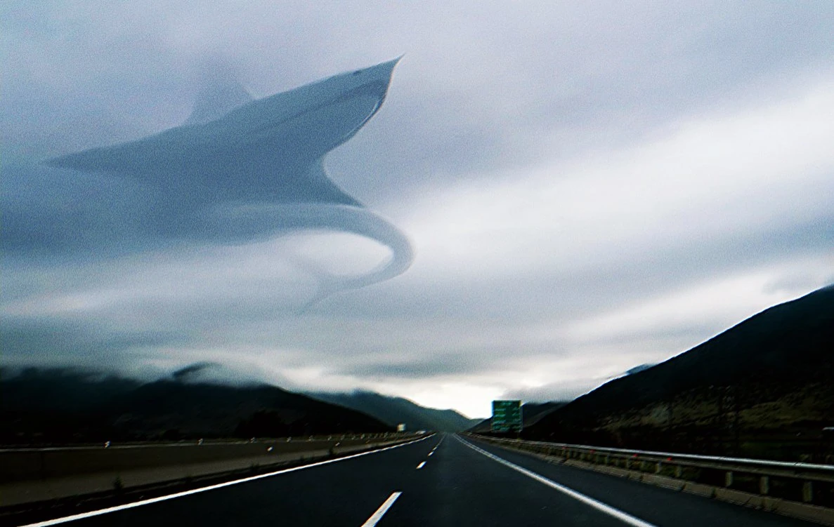 Aircraft Shark | Trevor Henderson Inspiration Wiki | Fandom