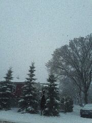 EF5A1C24-E596-493E-94D0-89636406060D.jpeg