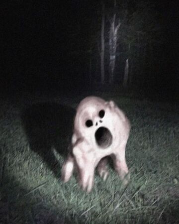 The Pig Creature Trevor Henderson Wiki Fandom Hey man, stop for a minute. the pig creature trevor henderson