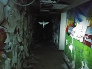 The Bird Spider, hiding in a dingy hallway ready to attack an unsuspecting human.