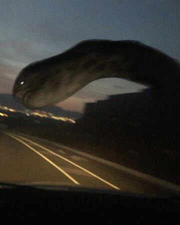 Highway Worm Trevor Henderson Wiki Fandom