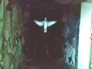 The original image of the creature, zoomed in and enhanced