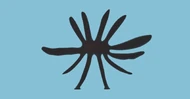 Web Kraken Gmod.png (178 KB) An unfinished 3d model of the creature.