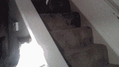 Trevor Henderson Creatures Gifs Discuss Everything About Trevor Henderson Wiki Fandom trevor henderson wiki fandom