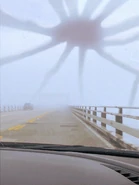 Web Kraken.jpg (114 KB) Web Kraken