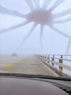 Web Kraken.jpg (114 KB) The original image of the creature.