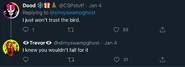 Don’t trust the bird!