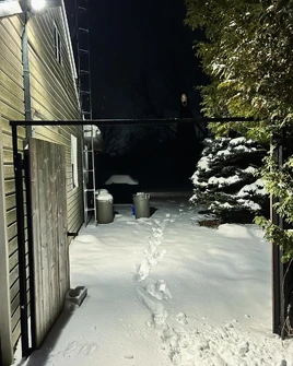 It came back the next night.