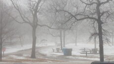 Snow Day.jpg