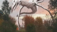 Bird.jpg.jpg (26 KB) Avian Giant