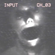 The previous image, brightened and enhanced.