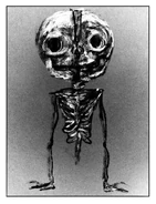 Bonesworth, in a black-and-white illustration style.