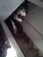 The thing in the stairs, another similar creature.